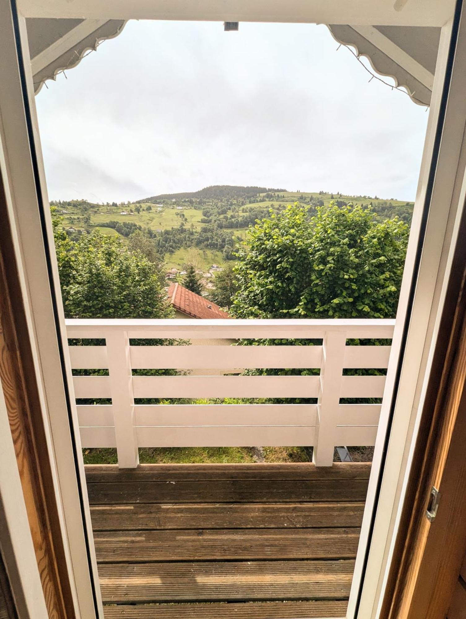 Chalet Sauna Jacuzzi 6 Personnes La Bresse Eksteriør bilde